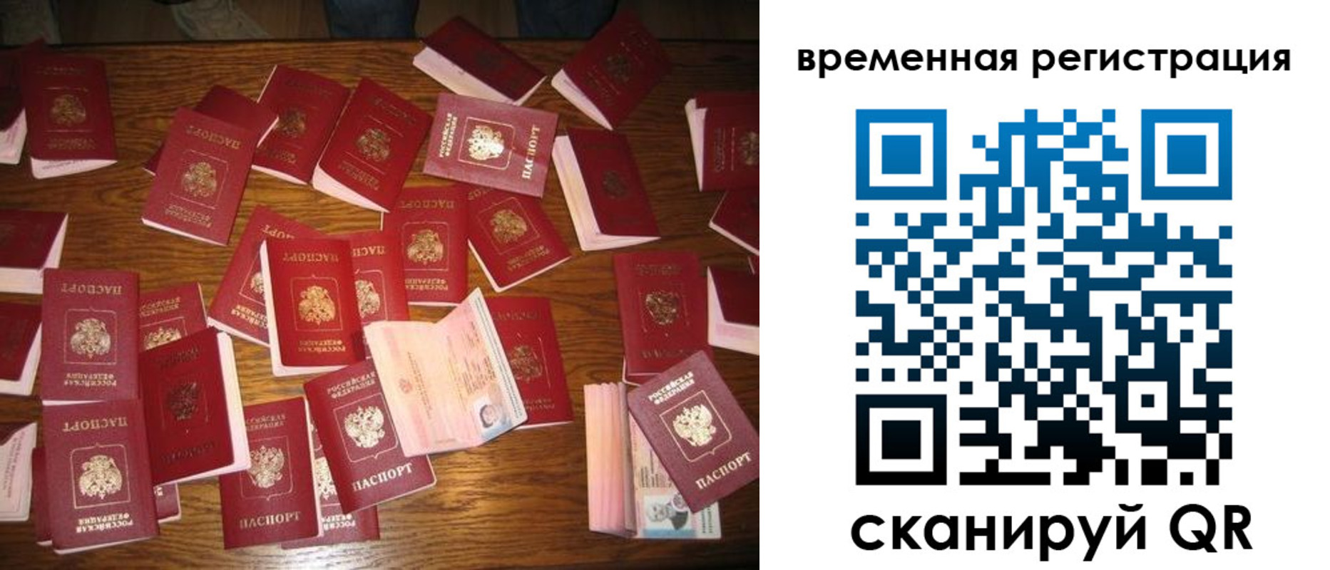 купить прописку в Кандалакше